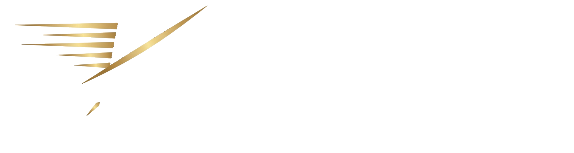 Photon Transport